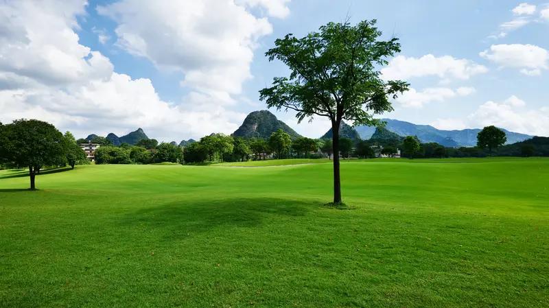 最美乡村自然风景图片