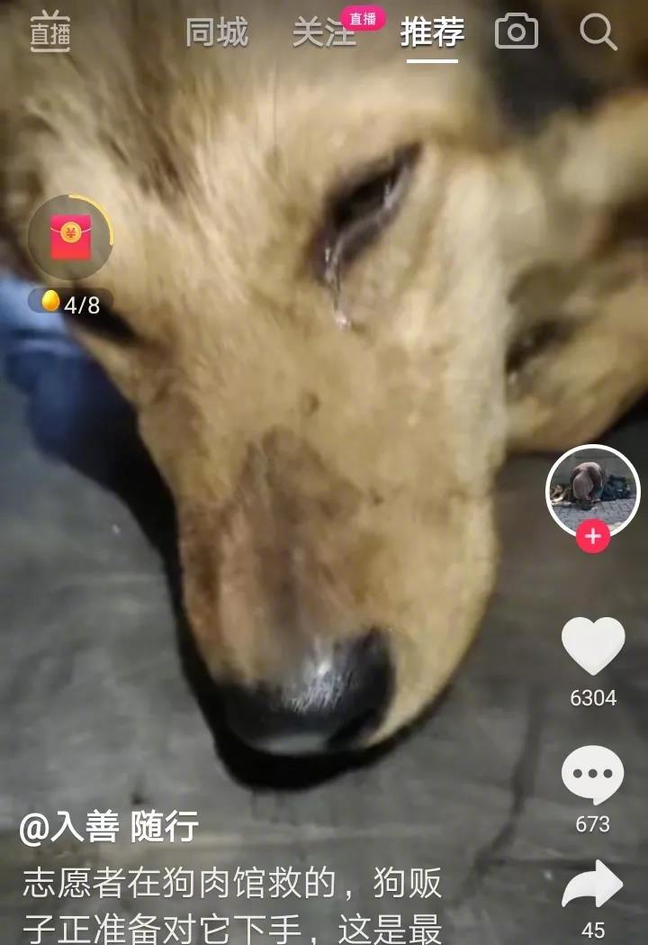 这是一只刚从狗肉馆救下的狗狗，狗狗流泪了！当时刽子手正要对它下手！既然它们可以来