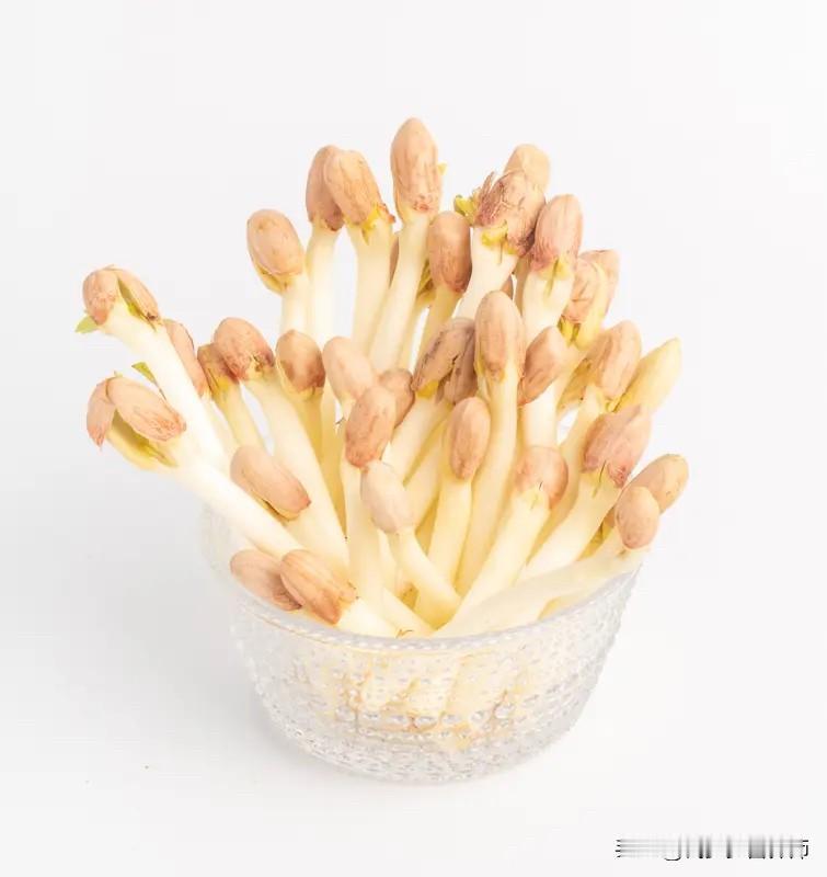 【花生发芽=天然毒药？别搞错！这种反而营养翻倍，但另一种千万别碰！】花生发芽