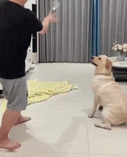 这种狗心眼子最多