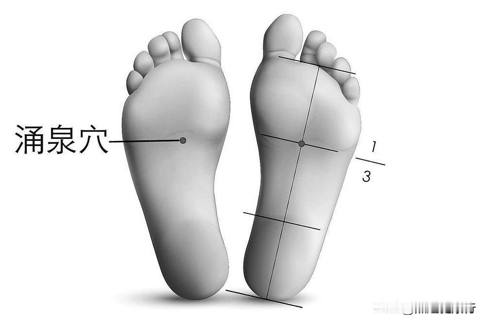　　足底的涌泉穴（如图）是肾经的起始穴，被誉为“肾气之根”。脚趾抓地时，足底肌肉