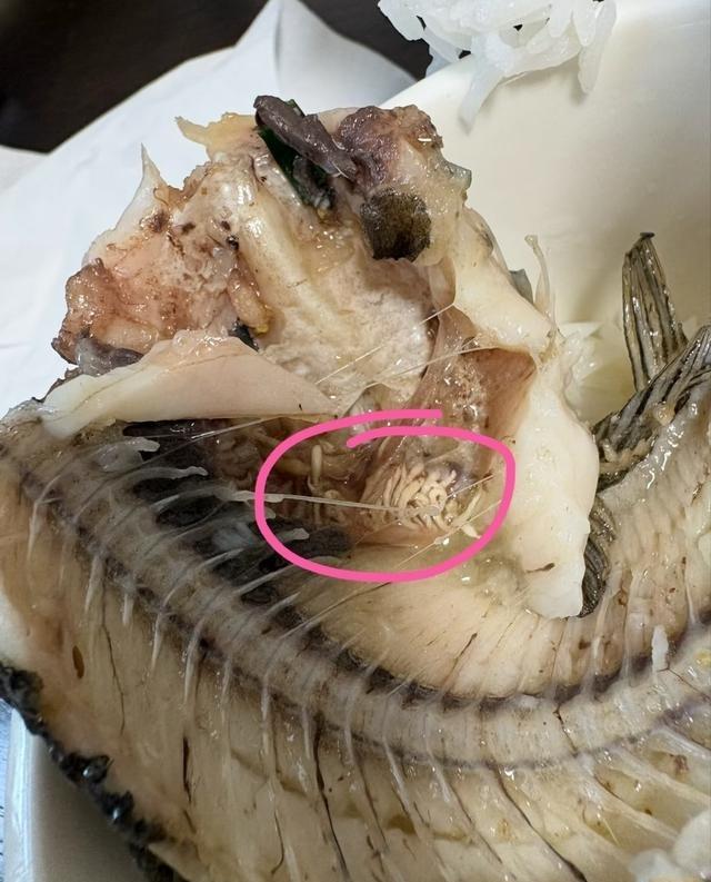 路边不认识的野果千万别乱捡乱吃，真容易出事。之前有个留学生把有毒的马栗当板栗捡