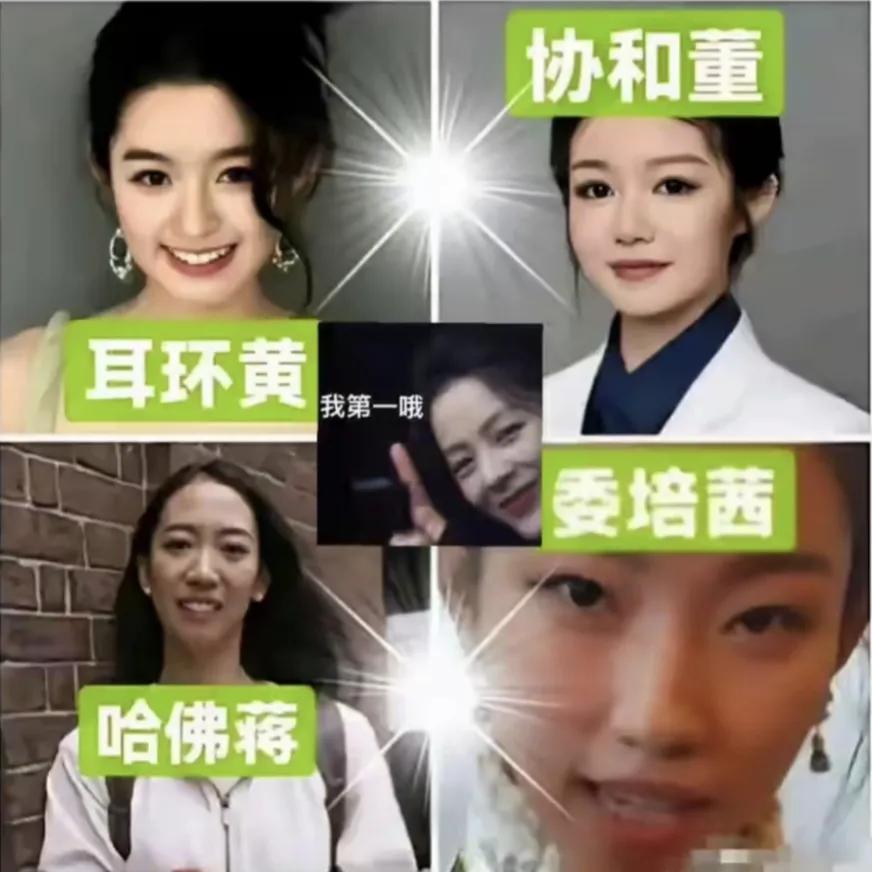 2025上半年震惊众人的四大女子，天价耳环的黄小姐，协和的董小姐，哈佛的蒋小姐，