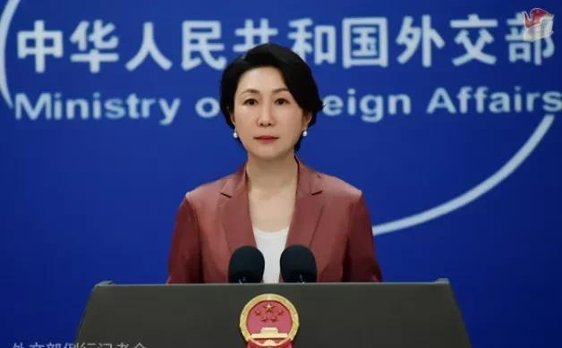 林佳龙昨天缪称“大陆无权决定台湾是否为国家，台湾由自己选择政府。”外交部发言人毛