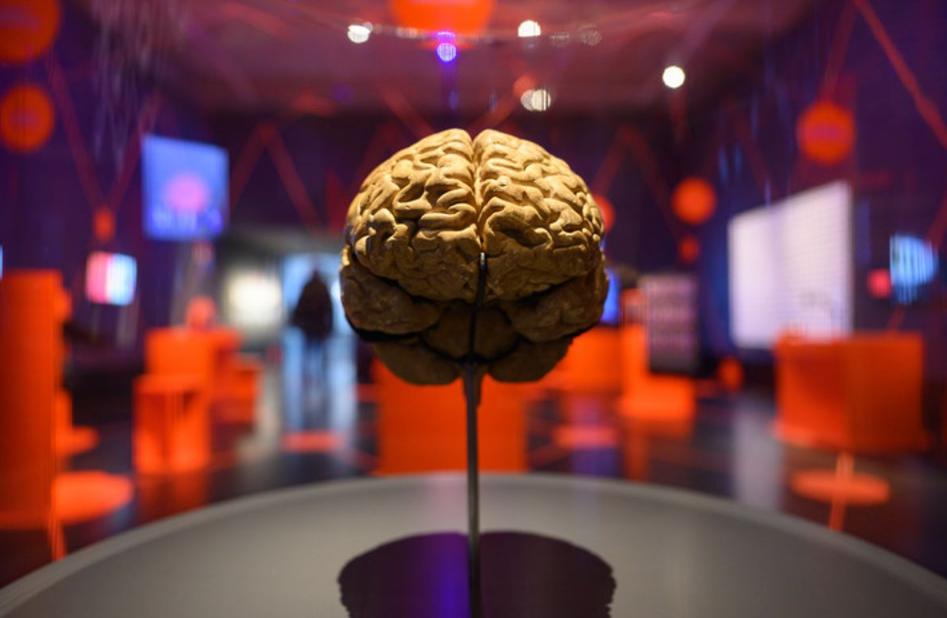 颠覆认知！人类从未停止进化，这些基因变化正在发生西班牙《机密报》11月24