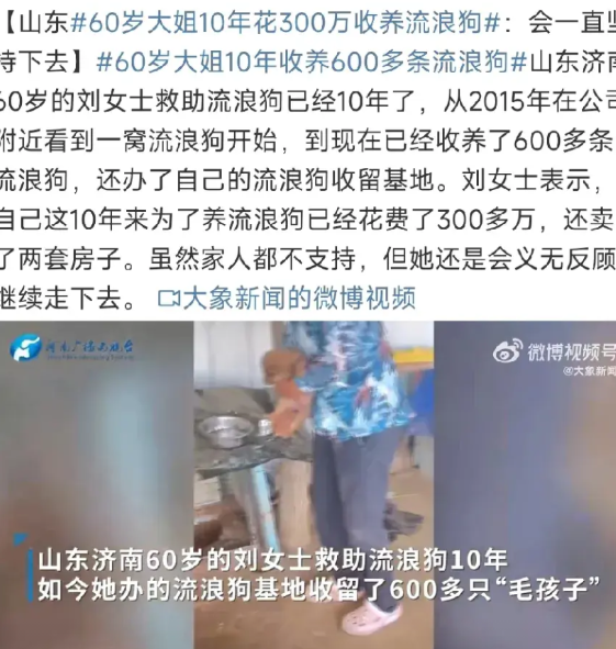 60岁的刘女士收养流浪狗10年，养狗超过600条，花费超过300万。济南刘女