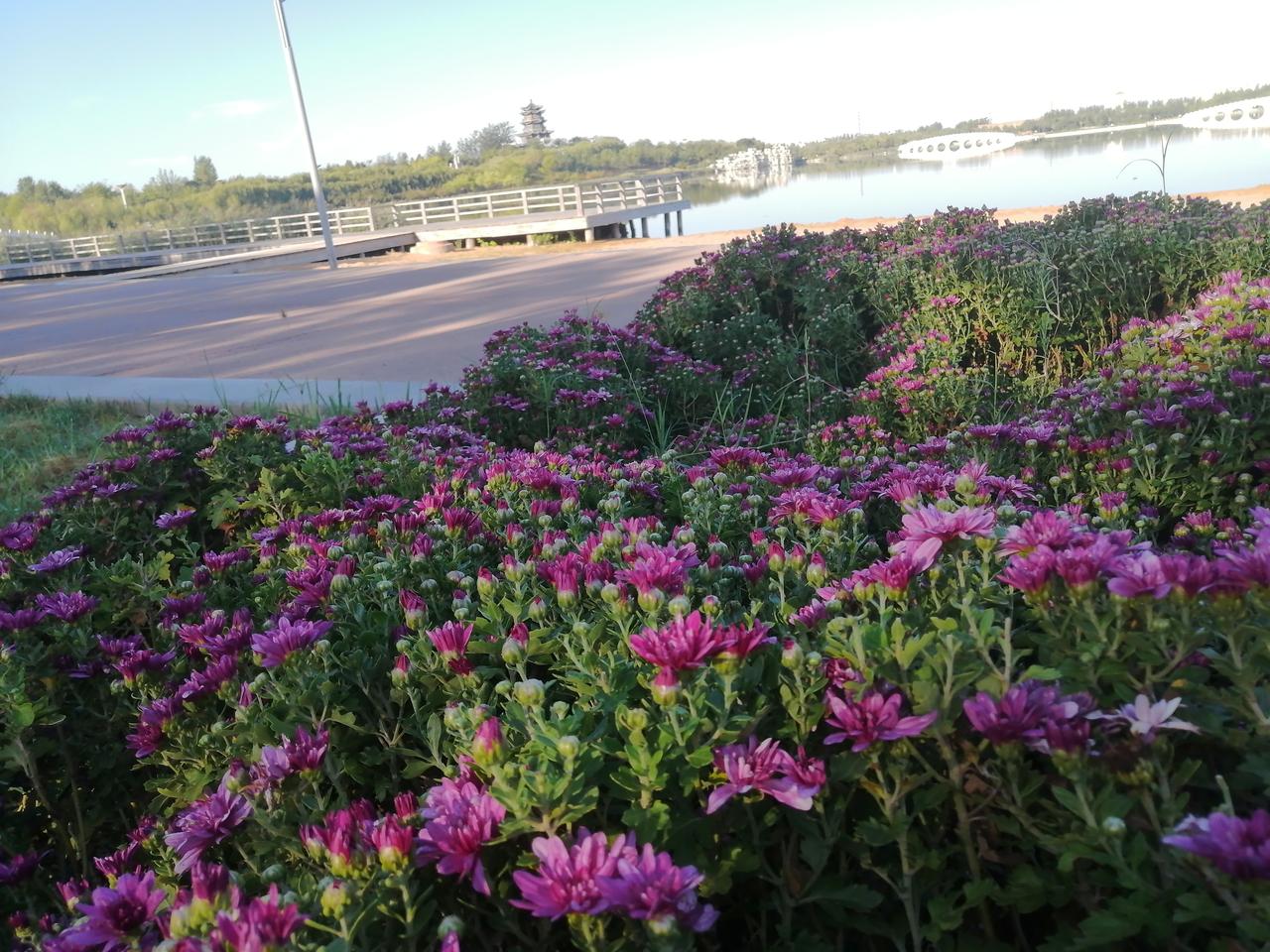 实拍美丽风光山东东营，美丽的清风湖，是山东省最大的城市公园。