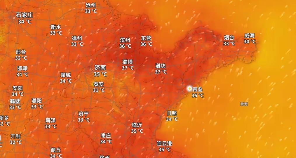以后谁再说去青岛避暑，我拿大嘴巴抽他！从青岛下车的瞬间差点化了，知道吗？不单单