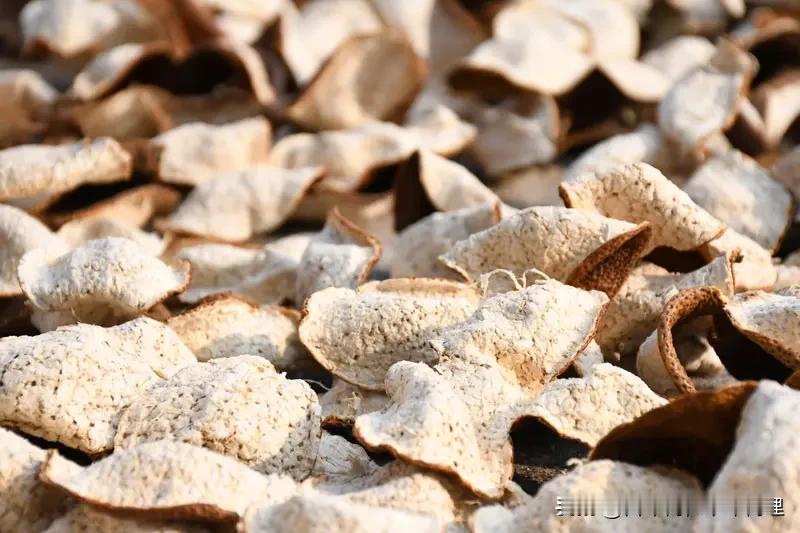 央视《财经调查》揭露陈皮市场造假黑幕：广西等地企业采用“轻工艺”加速陈化，将新柑