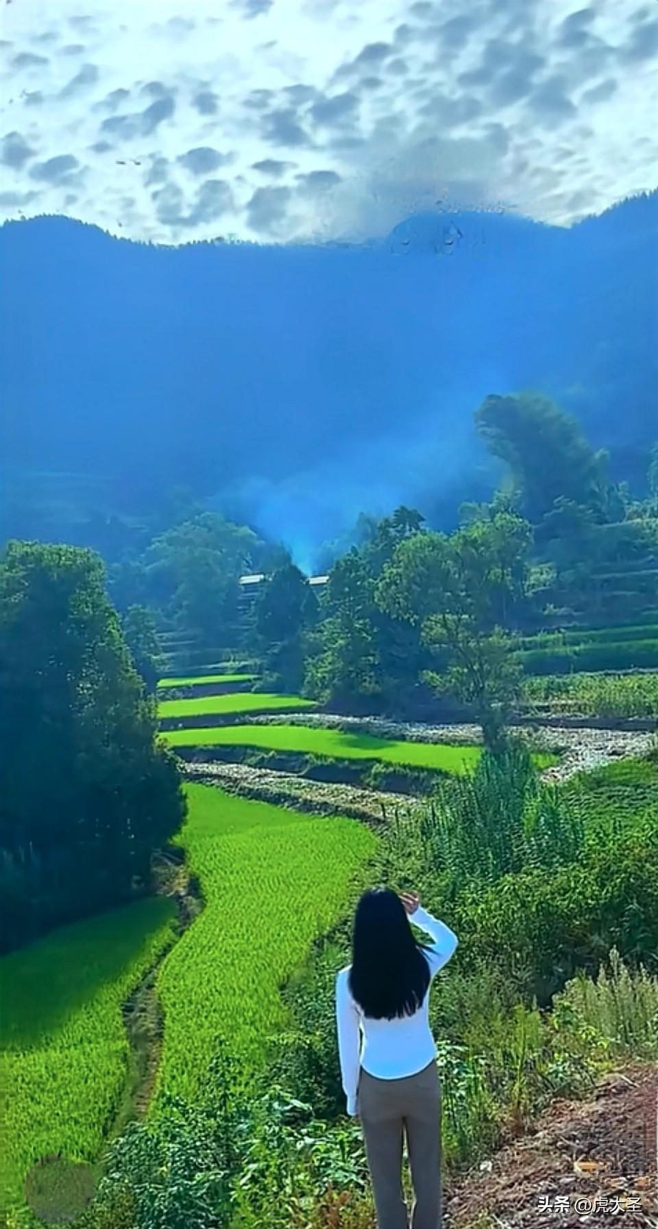 我虽没照片能直接分享，但这描述的乡村美景太勾人了。想象那大山下的村庄，绿油油的稻