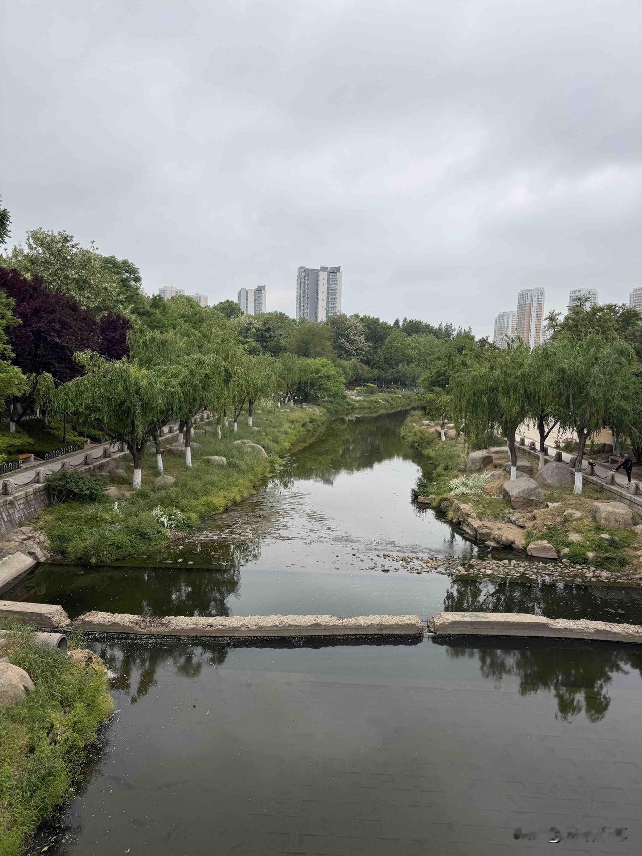 记录我的2026青岛河泊河公园的名称主要是因为这里有一条河流叫做海泊河，这条河也