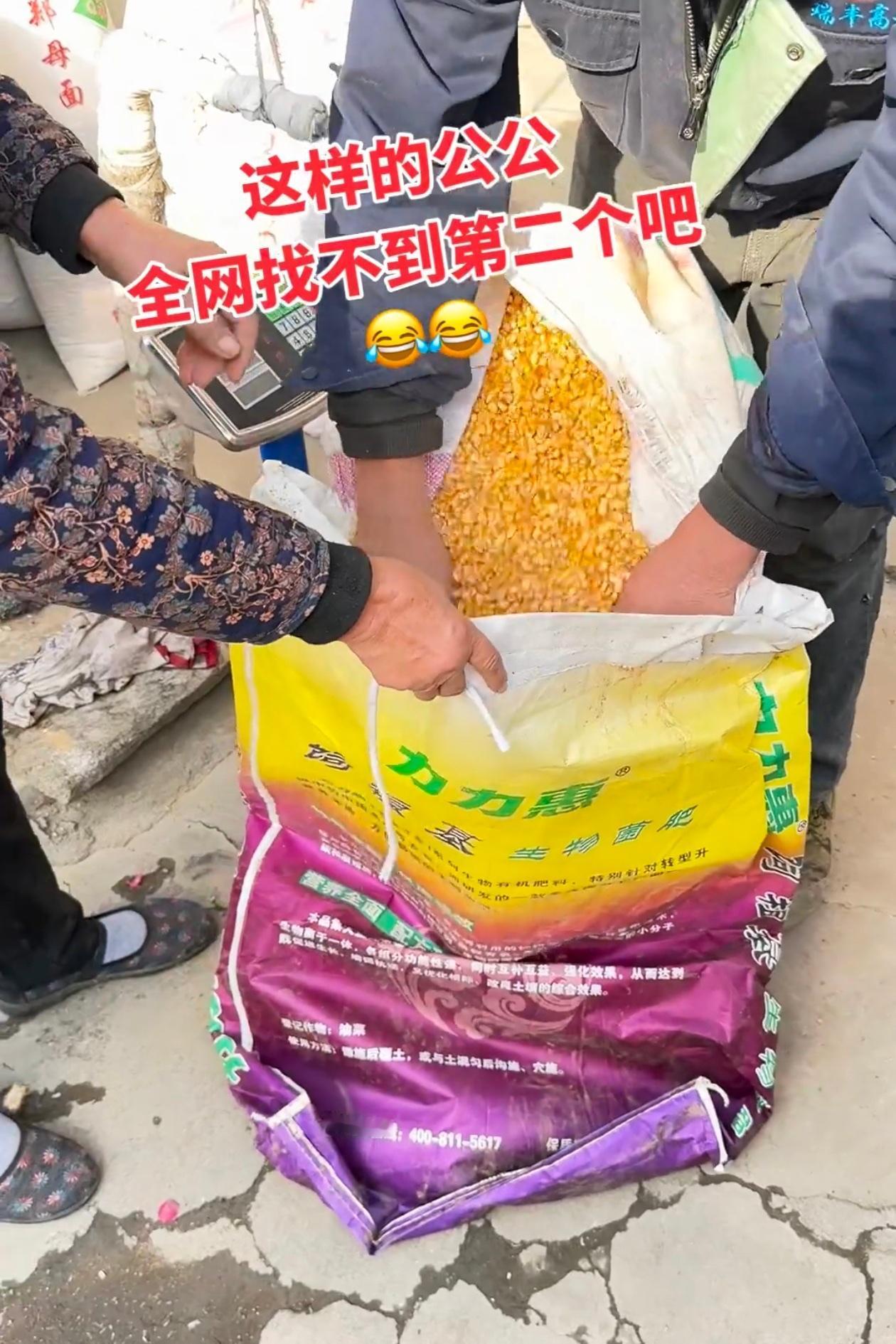 山东淄博一女的下班回家，看见公公正在卖玉米，想上去搭把手，公公摆摆手说小胳膊小腿