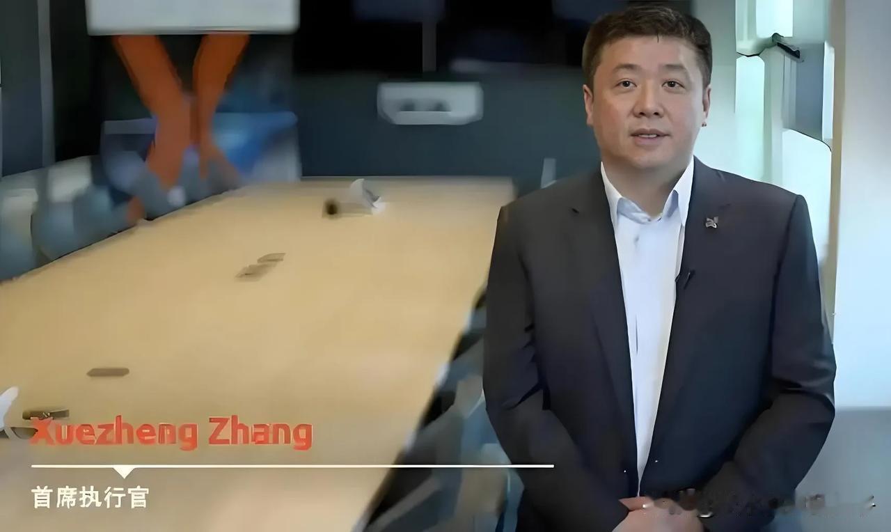 热度退去，闻泰科技与安世半导体的缠斗才露出真正的狰狞。当董事长张学政从荷兰仓促归