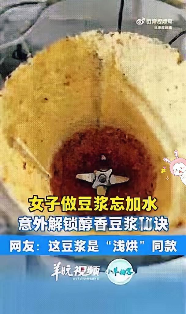 河南南阳大姐用破壁机做豆浆，忘加水把黄豆磨成粉，反倒让全网悟了：原来以前做豆浆都