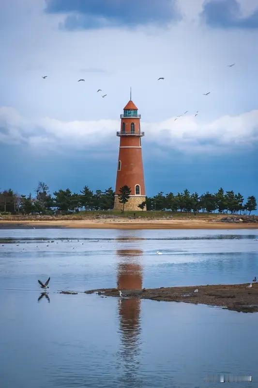 威海下雪了！❄️不是“意思一下”的小雪，是能把小腿埋进去的“鹅毛plus”！