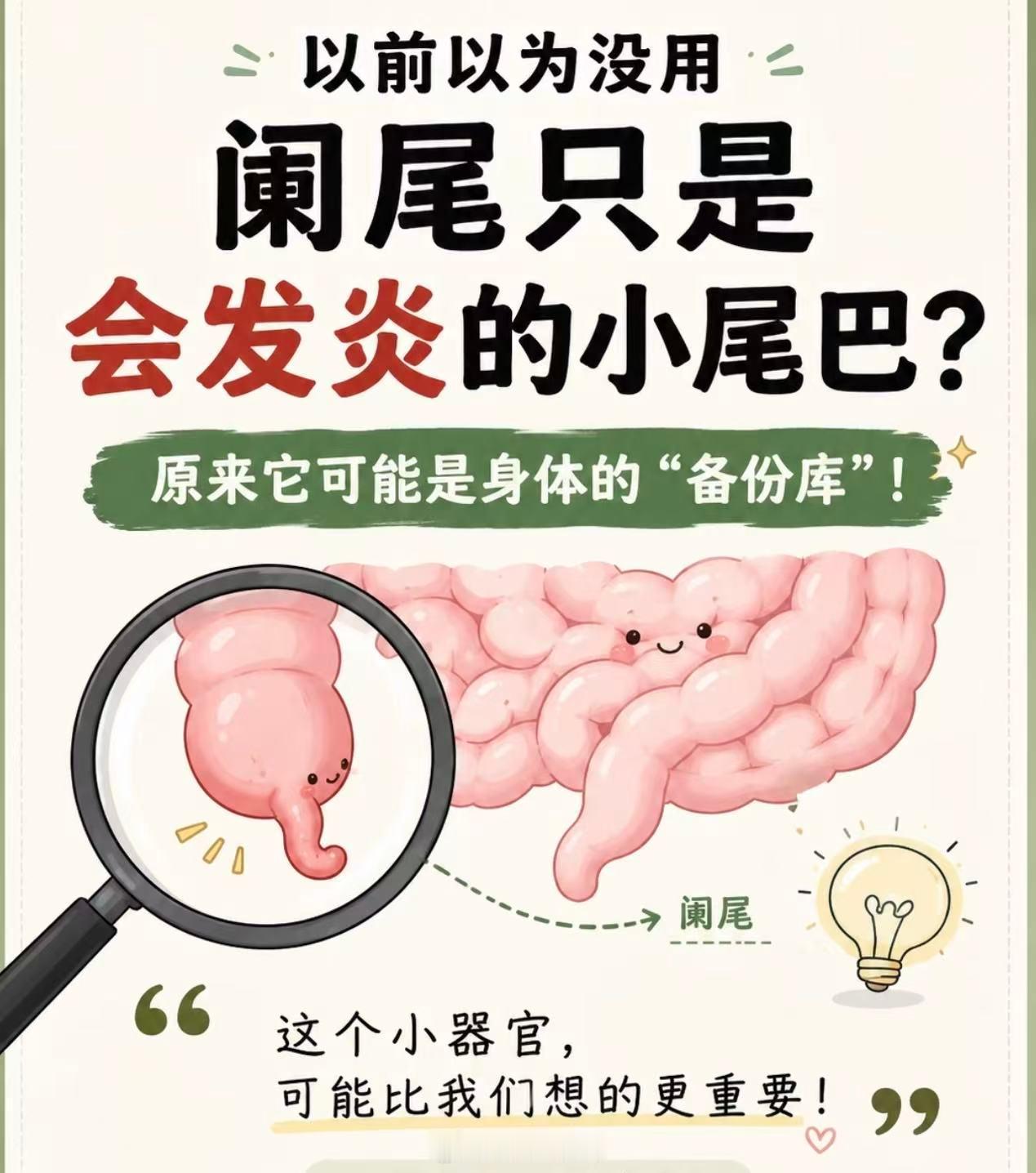 很多人以为阑尾是进化留下的无用器官，切了就切了。但2007年《理论生物学杂志