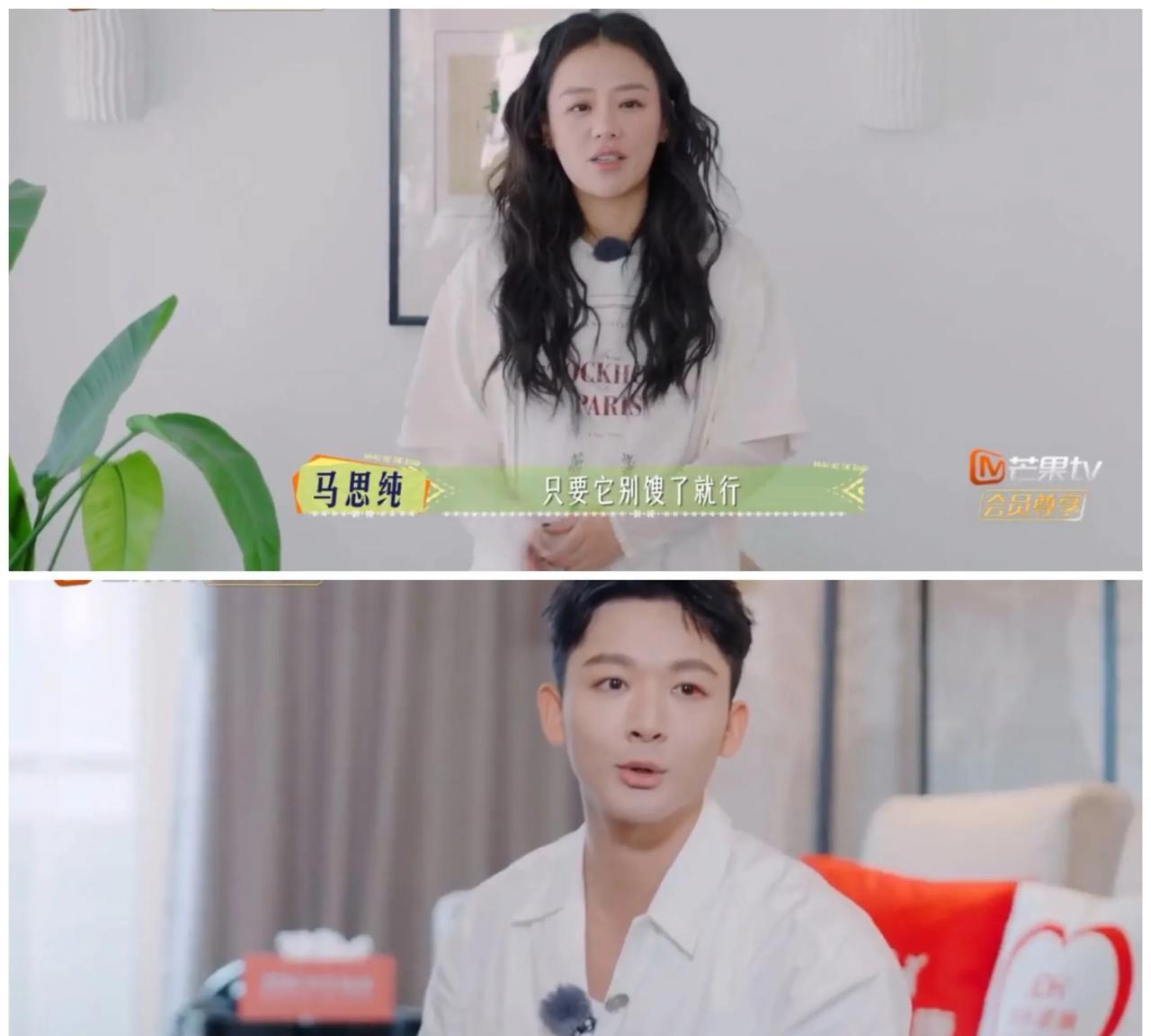 张晚意，马思纯真臭味相投，都不约而同的说出别馊了就行。张晚意和马思纯对于个