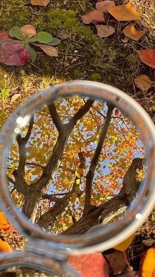 老夫少妻最怕的，是男方年龄大了，钱没了，而这个时候，女方年龄还没那么大，男方没钱