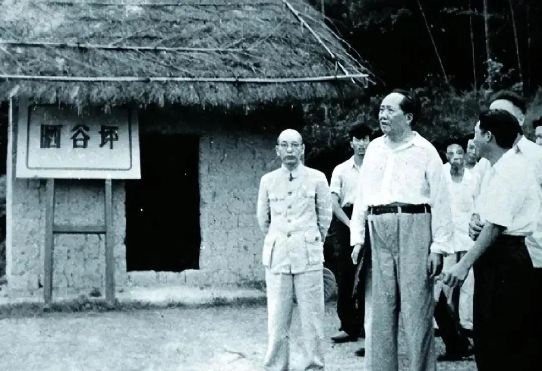 #历史老照片分享#1959年6月，毛主席最后一次回到韶山，和随同人员一起看了小