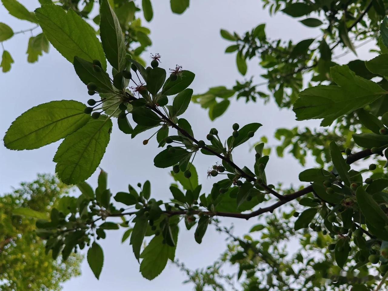 因为几年前有一次去南阳高铁站接女儿，把车停在了南阳高铁站的地下停车场了。等走时