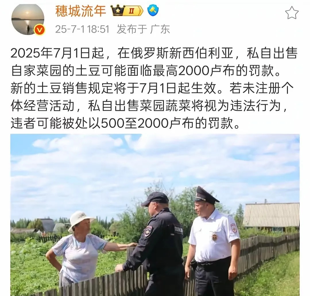 据说很多中国人在这里种植土豆。