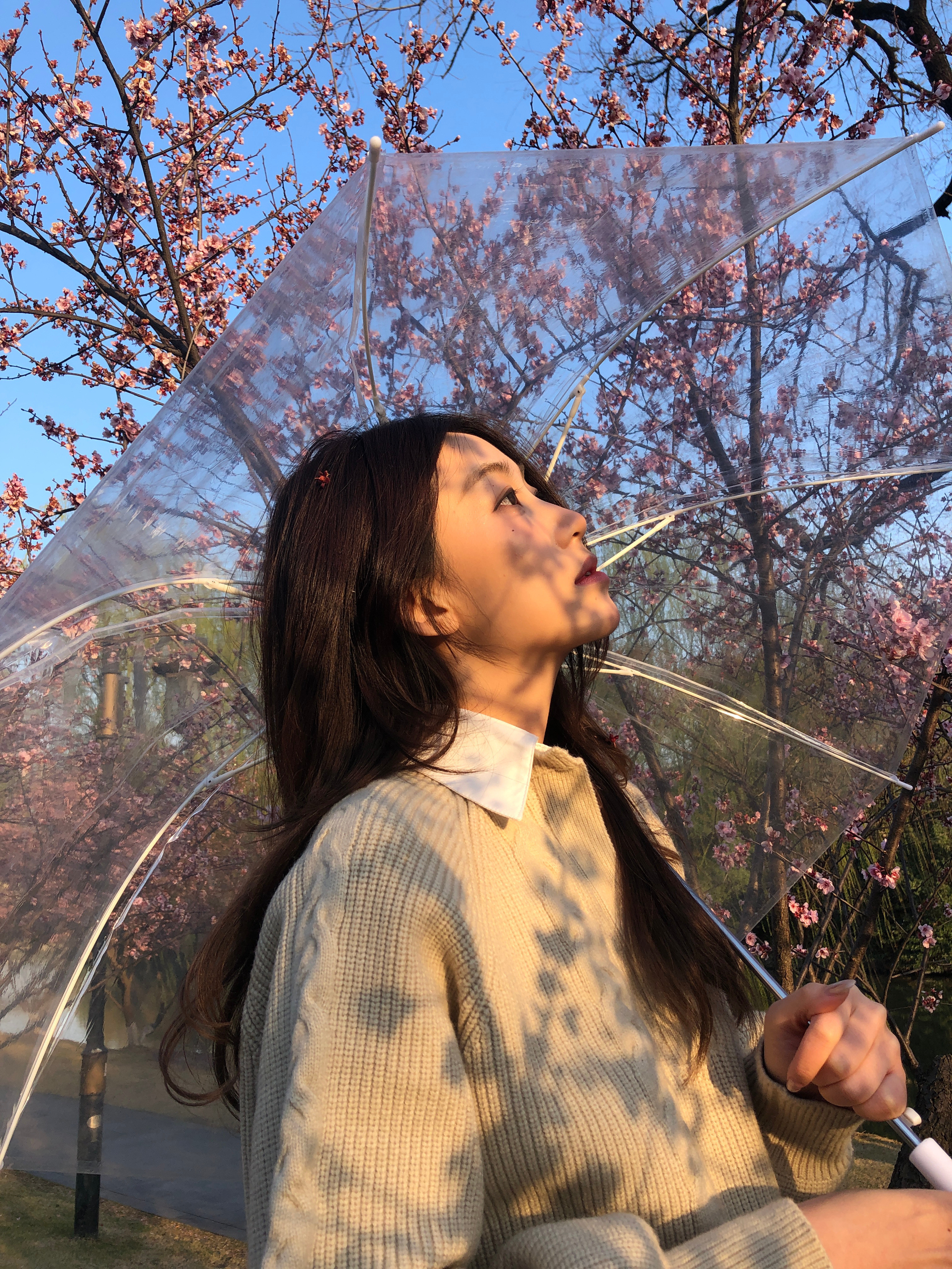 🌸谁来帮我p……