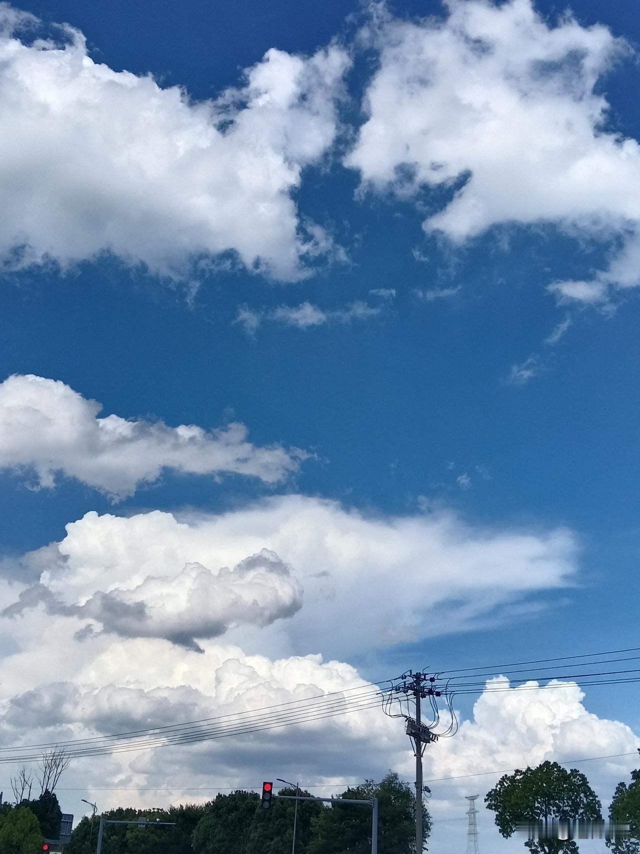 王宏出生于广西桂林的一个小镇，其父母皆为老师。老夫了解，和广西桂林经济水平相近的
