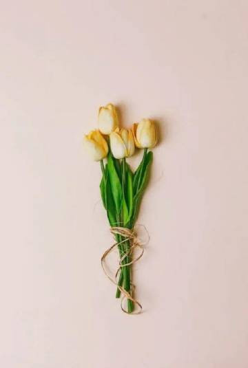花有花期，人有时运，怀爱欲诚，静等来日。​​​