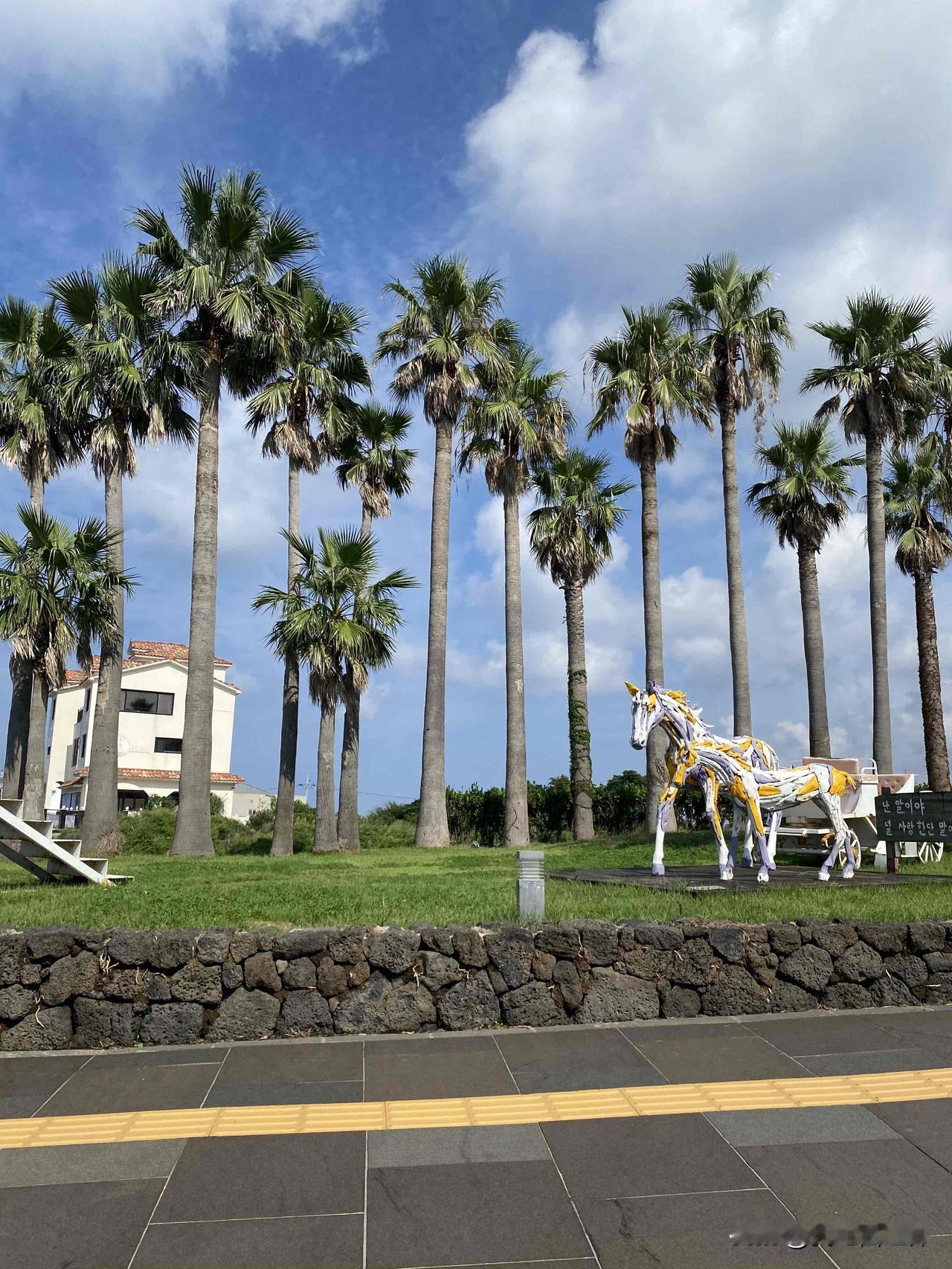 我哥是清华毕业，我嫂子是大专出身，彼此是高中同学。那时候我还小，听不懂爱情，但总