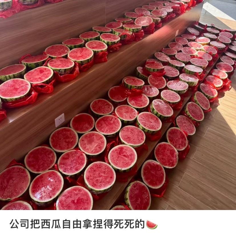 公司下午茶发了半颗西瓜[捂脸哭]职场那些事儿职场生存法则​​​