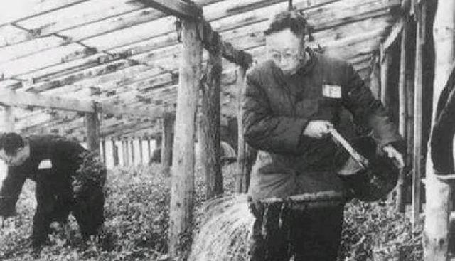 1963年，溥仪在北京街道闲逛，看到一烧饼摊，于是便买了一个。没想到刚吃了一口，