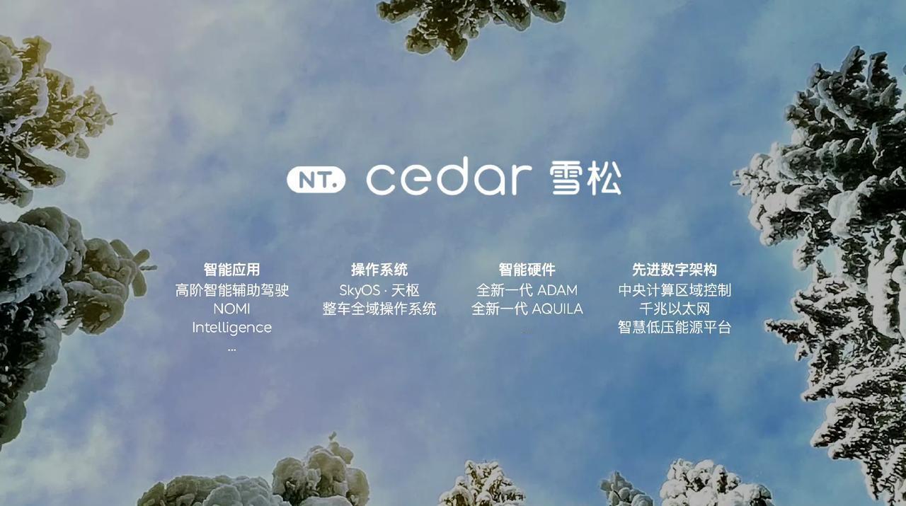 蔚来全新车机系统叫cedar雪松，榕树将是过去式，以后就是一套系统，所有新车都用