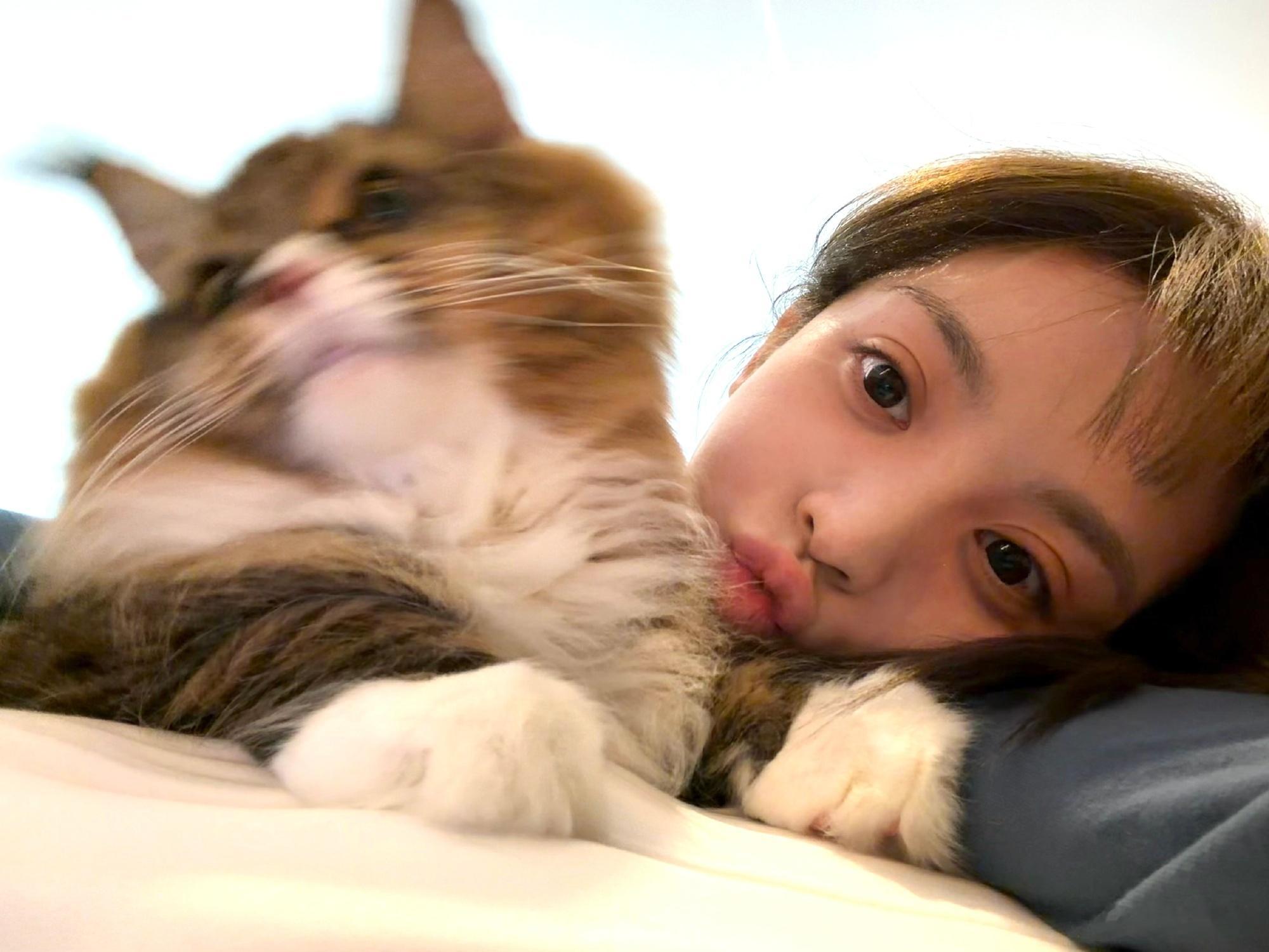 这么萌的小猫世界上居然有两只！！田曦薇和猫咪贴贴​​​
