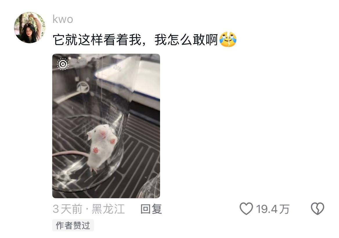 医学生第一课：停止共情😭每条生命都在教你怎么救人
