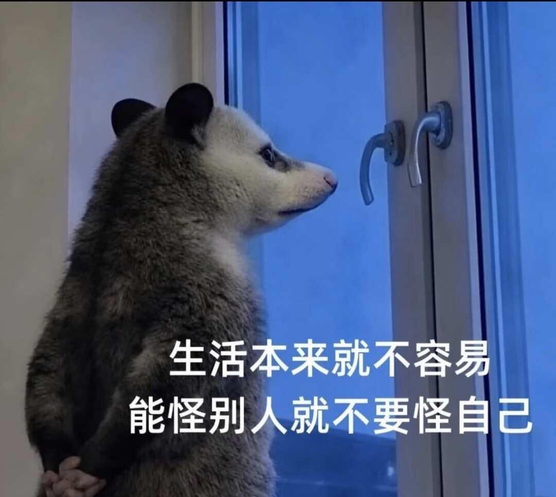 小红书相亲交友骗局本人自从尝试在脱单以来，遇到无数非正常的人类，实在难绷，发笔