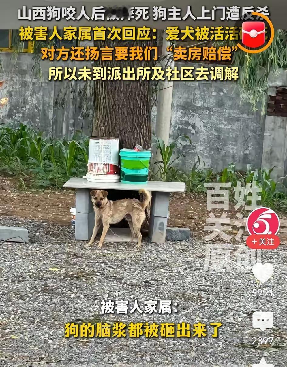 被杀害的狗主家人喊冤：我们九个人被他一个人砍刺成一死多伤，他自己一点伤都没有，明