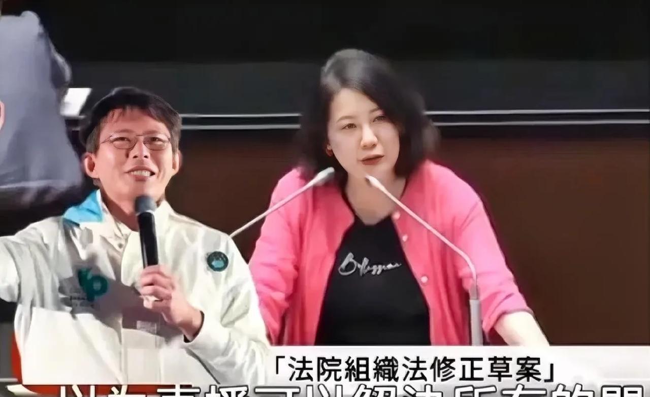 蓝白合力通过“法庭直播”，民进党气急败坏，吴思瑶咬牙切齿，对着在场的蓝白民代，提