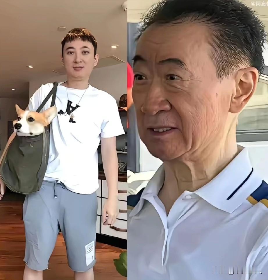 现在看来王健林真的很聪明只让儿子花钱却不让他赚钱！当年全网骂王思聪只会