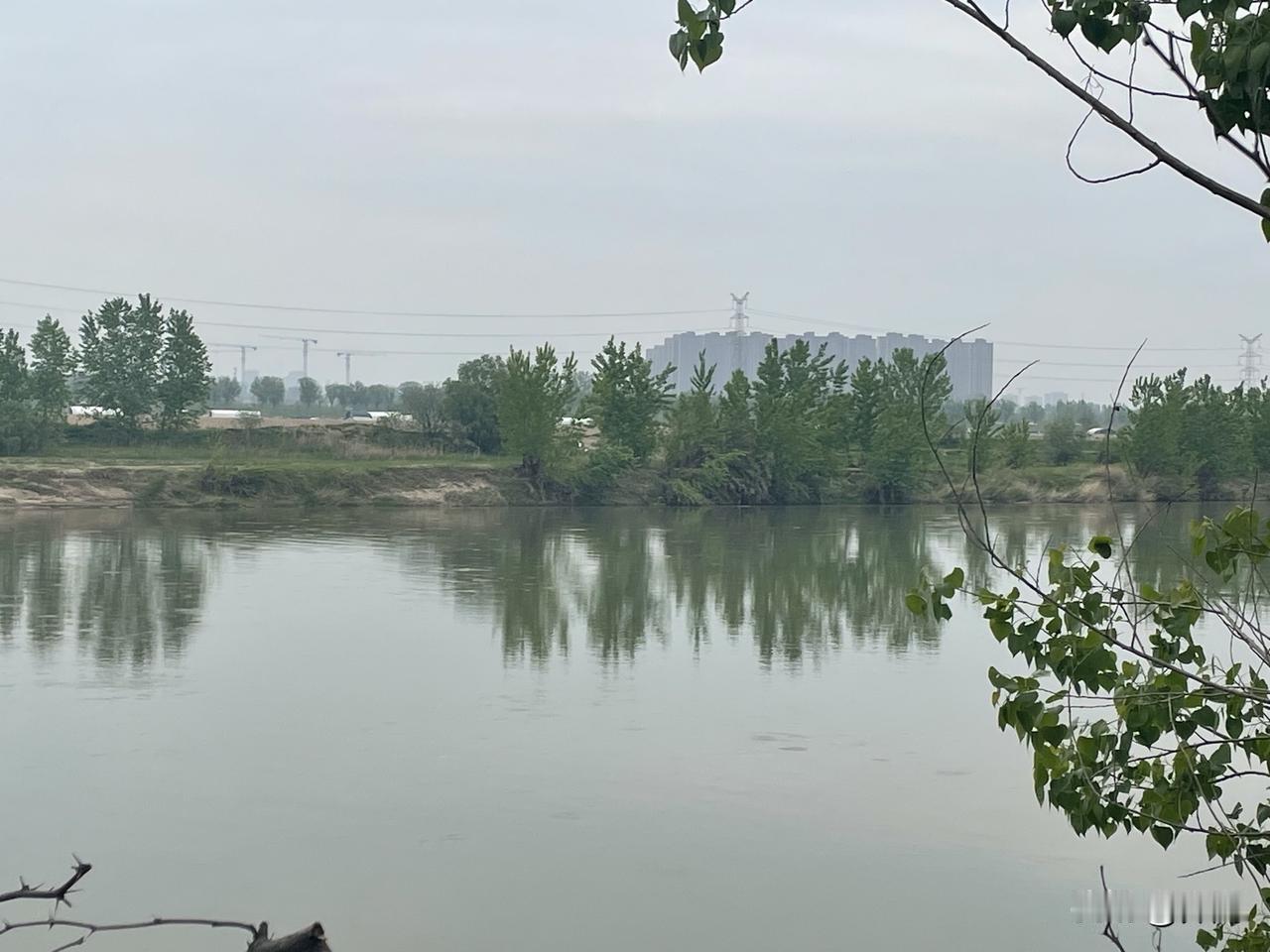 【七绝•衔泥燕子入檐飞】衔泥燕子入檐飞，采蜜蜂儿坐艳菲。春色浓浓关不住，山川