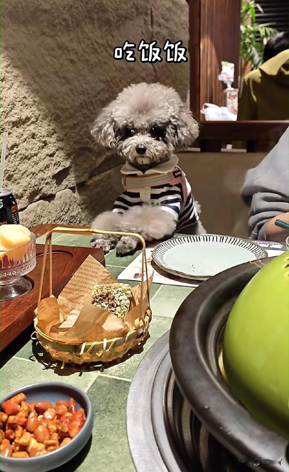 养狗的越来越丧心病狂了！刚刚又刷到一条视频，5月3日，一个男的堂而皇之带着一