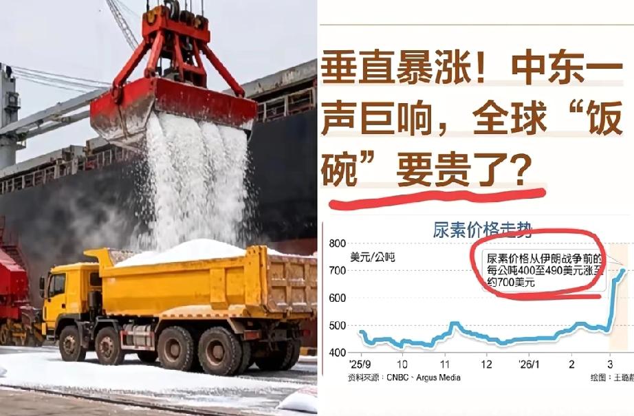 最近国内的尿素行情，用两个字形容就是：离谱。国内一吨才一千七，运到东南亚直接卖