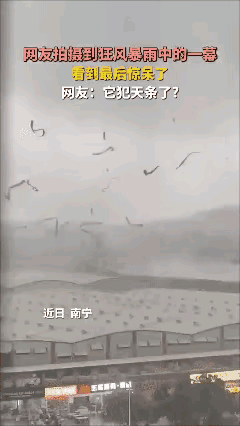 这是要化成飞灰才行吗
