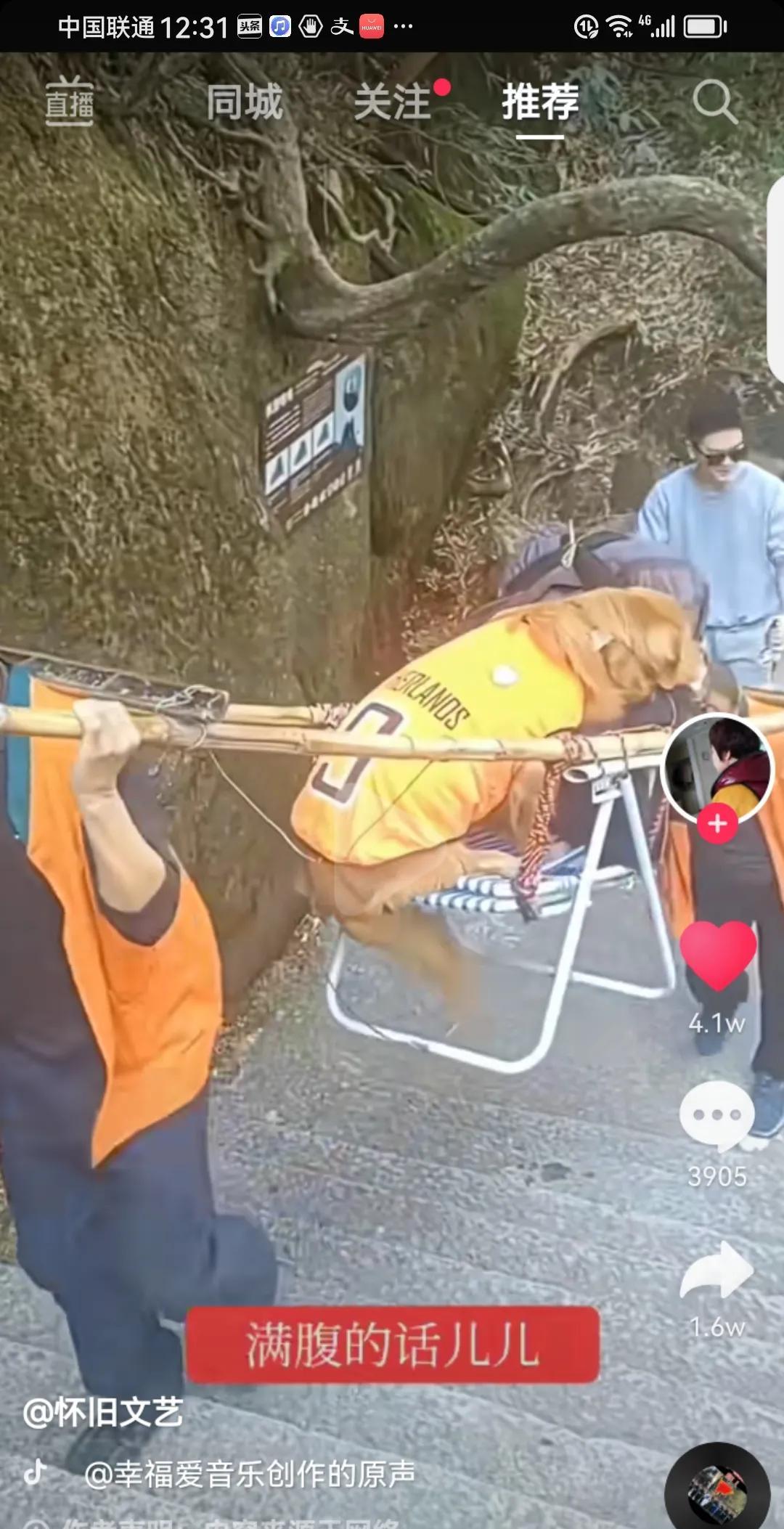 狗狗都坐滑杆了，你认命吧！你认命吗？