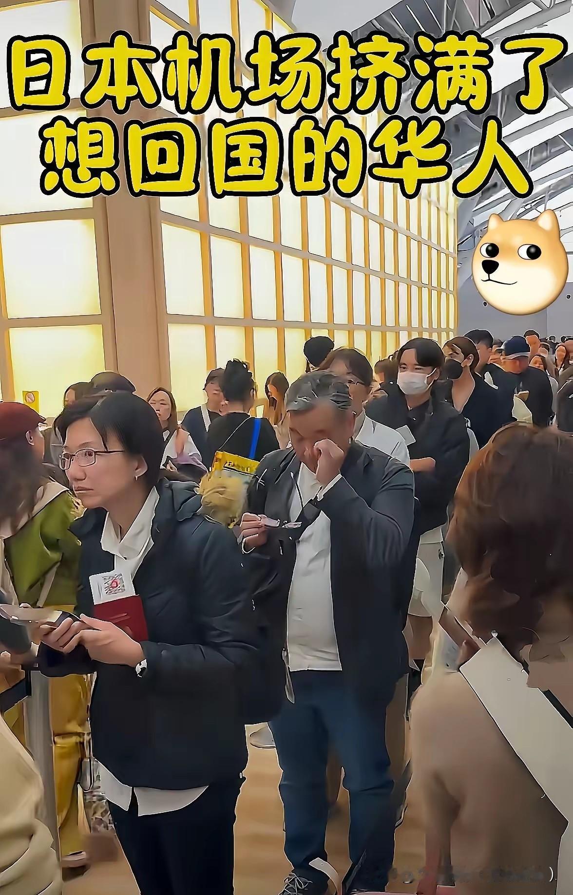 日本机场同胞愁容满面！早提醒别去偏不听，这罪受得值吗？日本机场里扎堆的同胞