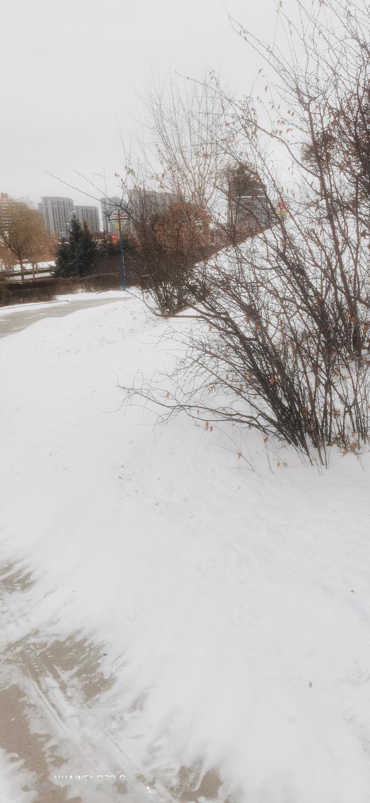 呼伦贝尔老哥们组团南下过冬！这“候鸟式”养老真叫人眼馋咱们这儿十一月就零下十