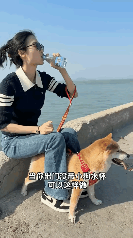 是不是这样的操作可以让狗狗更听狗主人的话？狗狗也确实是太忠厚老实了，反正狗主人