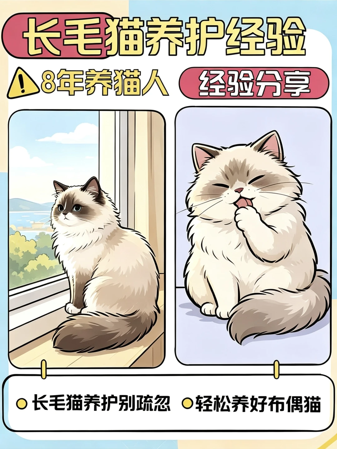 8年养猫人｜布偶长毛养护干货✨新手直接抄
