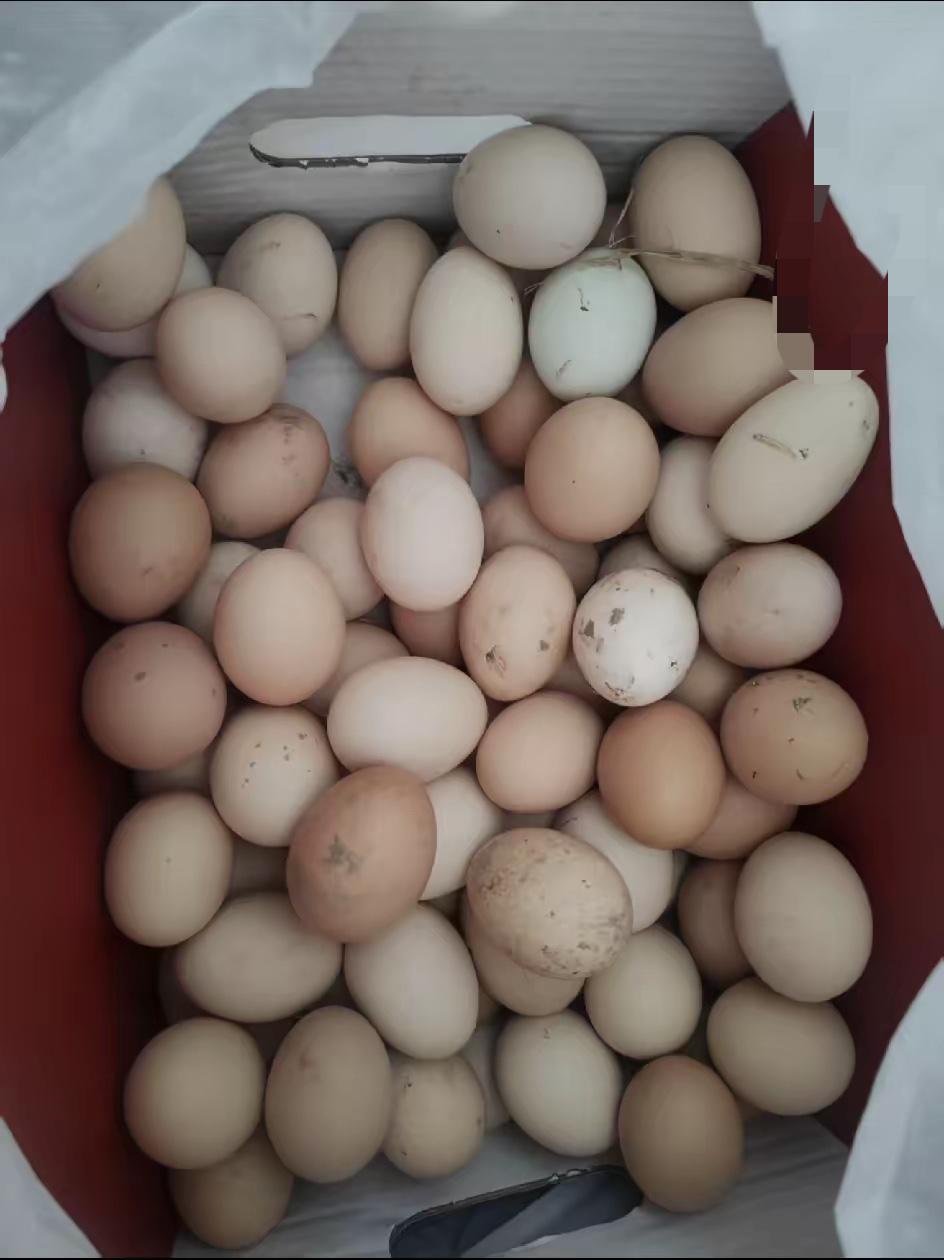 过节给我妈塞了2000块钱，老公一路黑脸。回家打开鸡蛋箱，我蹲在地上哭了过节