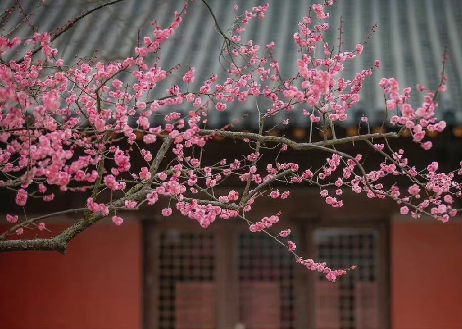“今天飞花令｜主题【来、往】古诗词”