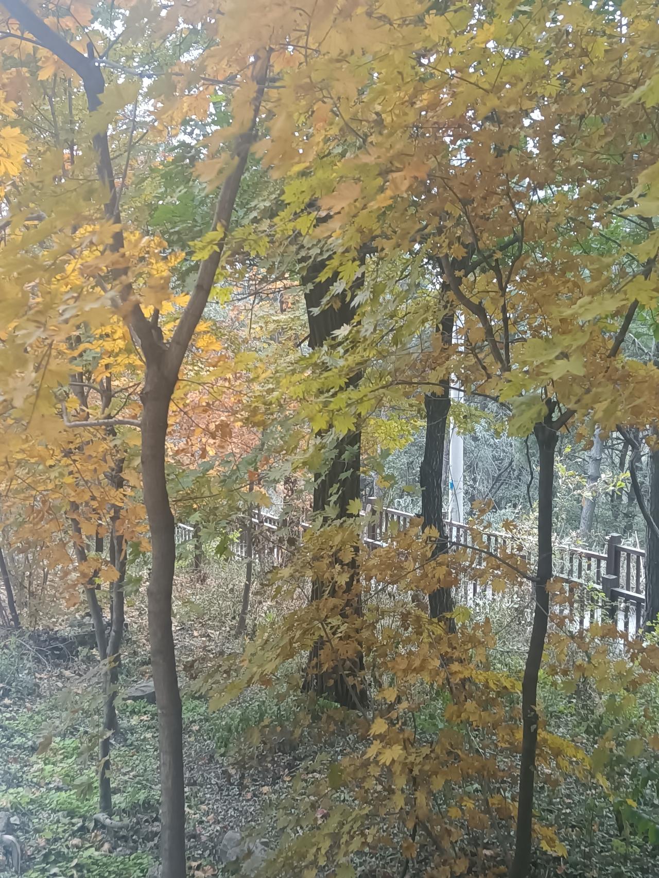 昨晚9点多钟，老爸有那么几分钟很危急，叫了120，住院了。不想做什么检查了，